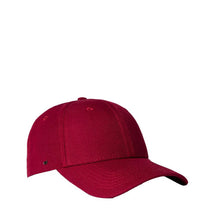 Load image into Gallery viewer, UFlex Adults Pro Style 6 Panel Snapback
