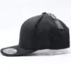 Load image into Gallery viewer, 110 WB Twiggy Snapback Cap
